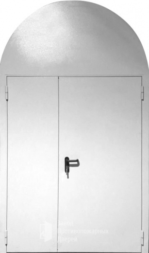 Фото двери «Арочная дверь №2» в Волоколамску